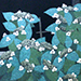 Kiyoshi Saito Gallery